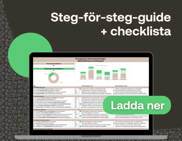 Guide: AI som affärsvärde – med rätt plan.