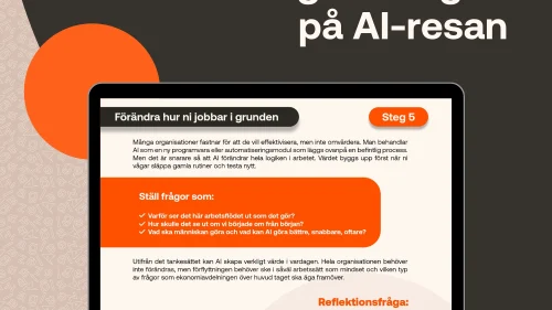 AI guide (1)