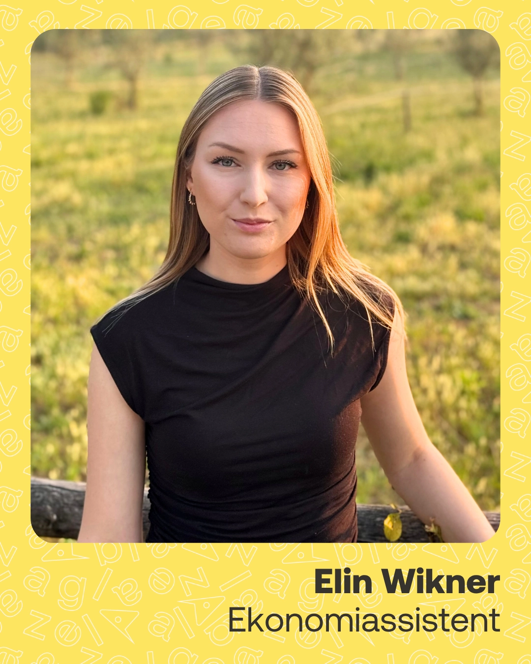 Elin Wikner - Consultant Stories - Gazella