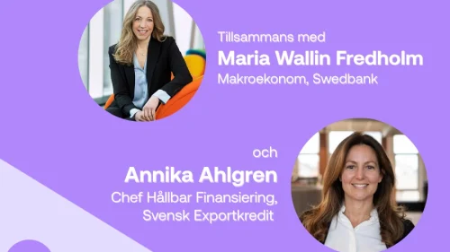 Strategier för osäkerhet: Från geopolitik till hållbarhet
